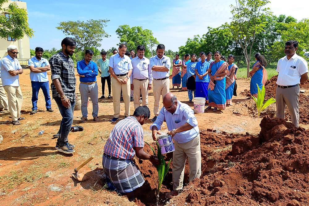 Tree Plantation 2023